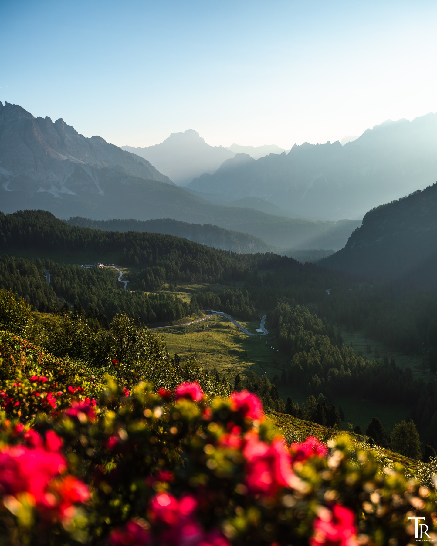 Eigentlich sollte an diesem Spot die berühmte Spiegelung der Berge in einer Pfütze am Passo di Giau das Hauptmotiv sein.
Das weiche Licht der aufgehenden Sonne, das sich durch das Tal schob, war für mich mindestens genauso besonders – und definitiv ein Bild wert. 😊
Man sollte also auch bei klaren Hauptmotiven den Blick schweifen lassen... für fotogene Nebenmotive. 😉 #passogiau #passodigiau #dolomites #mountainstones #visitsouthtyrol #alps #chasinglight #nature_lovers #dawn #lightroom #nature_wizards #adventurer #wanderlust #travelgram #fernweh #landscape_lover #sunriselovers #roadsurfer #dolomiten #südtirol #bestplacesonplanetearth #earthofficial #earth_shotz #amazinglight #mountains #dolomiti #MountainPhotography #LandscapeLovers