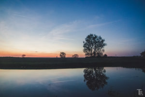 Mehr über den Artikel erfahren 20. Mai – Raps, Blaue Stunde und Milchstraße
