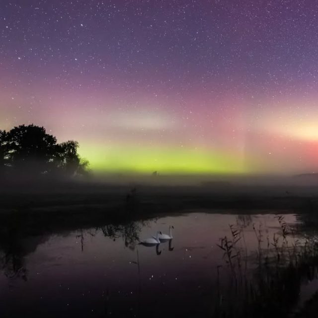 Spontan magische Nacht bei meinem letzten Gruppen-Workshop dieses Jahr. ✨
Eigentlich lag der fotografische Fokus auf den beiden Kometen, aber plötzlich erstrahlte der Himmel im Norden mit Polarlicht.
Lustigerweise ließen sich zwei Schwäne weder von den Nordlichtern noch von uns beeindrucken.
Ein Glück sogar, denn so boten sie sich als perfekte Models an. 🦢
Und auch wenn es vielleicht für den einen oder anderen so aussieht, es ist kein Composing, geschweige denn KI-Bild! 😅
Ich bin mit der Belichtungszeit auf 3s herunter gegangen, um die Bewegung der Schwäne "einzufrieren". Und in einem von vielen Versuchen hat es dann geklappt. 😉  #aurora #polarlicht #polarlichterdeutschland #sternenparkwesthavelland #sternenpark #astro_photography #havellandsehnsucht #nightphotography #nightsky #nightscapes #auroraborealis #northernlights #northernlightsphotos #darksky #astrophotography #milkywaychasers #mein_brandenburg #canon_photos #starrysky  @havellandsehnsucht
@visitbrandenburg