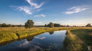 Mehr über den Artikel erfahren 17. Juni – Eine kurze Nacht im Sternenpark