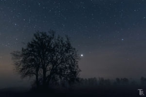 Mehr über den Artikel erfahren 14. April: Nebel, Dunst und Saharastaub