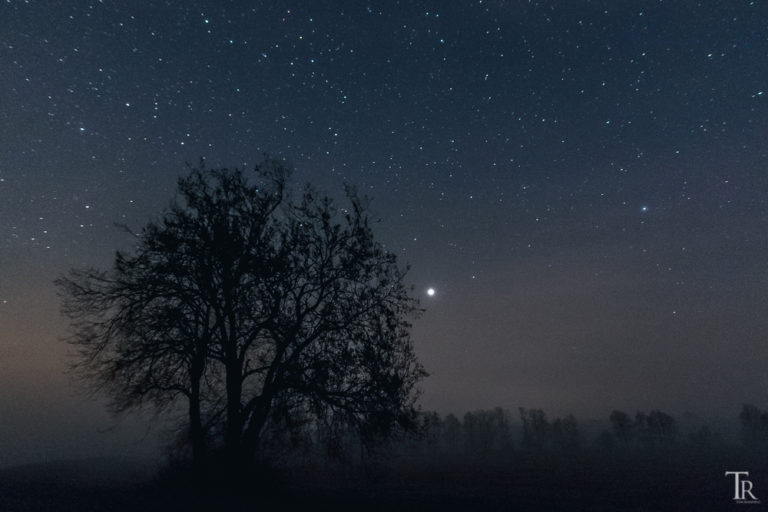 Mehr über den Artikel erfahren 14. April: Nebel, Dunst und Saharastaub