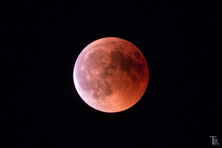 Mehr über den Artikel erfahren 27. Juli: Andrang zur Mondfinsternis