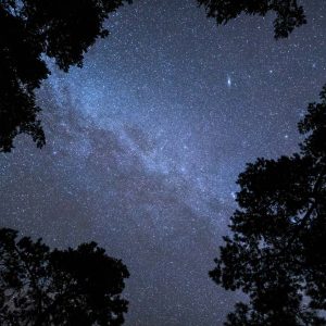 Workshop: Abenteuer Nachtfotografie (17.10.2025)