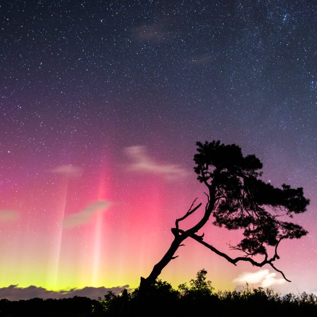 #Polarlicht von letzter Woche auf #Rügen
Es war eine sehr spontane Aktion, die dieses Bild ermöglichte. Eigentlich lag ich schon im Bett, als ich plötzlich die Polarlichtmeldungen in der App bekam und Polarlicht auf der Webcam vom Kap Arkona sah. 😅  @wirsindinsel 
@inselruegen 
@aufnachmv 
@mvtutgut  #aurora #polarlichterdeutschland #astro_photography #inselrügen #rügenliebe #aufnachmv #mvtutgut #nightphotography #nightsky #nightscapes #auroraborealis #northernlights #northernlightsphotos #astrophotography