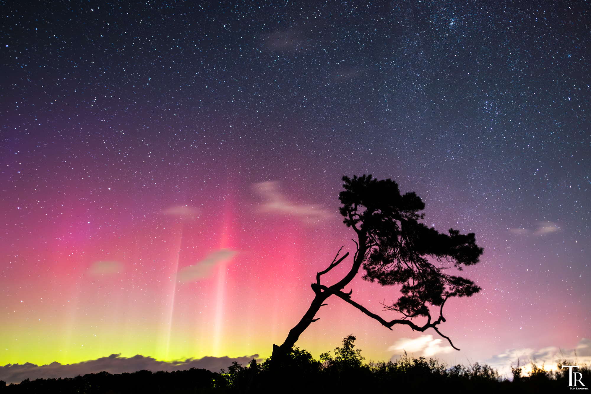 #Polarlicht von letzter Woche auf #Rügen
Es war eine sehr spontane Aktion, die dieses Bild ermöglichte. Eigentlich lag ich schon im Bett, als ich plötzlich die Polarlichtmeldungen in der App bekam und Polarlicht auf der Webcam vom Kap Arkona sah. 😅 @wirsindinsel
@inselruegen
@aufnachmv
@mvtutgut #aurora #polarlichterdeutschland #astro_photography #inselrügen #rügenliebe #aufnachmv #mvtutgut #nightphotography #nightsky #nightscapes #auroraborealis #northernlights #northernlightsphotos #astrophotography