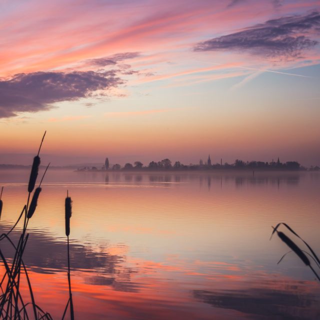 Vor genau 10 Jahren habe ich mein vielleicht bisher schönstes Foto meiner Heimatstadt aufgenommen, morgens auf dem Weg zur Uni, als ich glücklicherweise die Kamera noch schnell in den Rucksack gepackt hatte.... 😊 @werder_havel_tourismus
@wirsindwerderhavel
@havellandsehnsucht #werderhavel #nature_brilliance #visitbrandenburg#chasinglight #nature_lovers #adventurer #wanderlust #skyporn #landscape_lover #sunrise #bestplacesonplanetearth #earthofficial #ausflieger #backlight #mein_brandenburg #amazinglight #goodmorning #colorsofthesky #lovemyjob #havelland #ig_deutschland #homesweethome