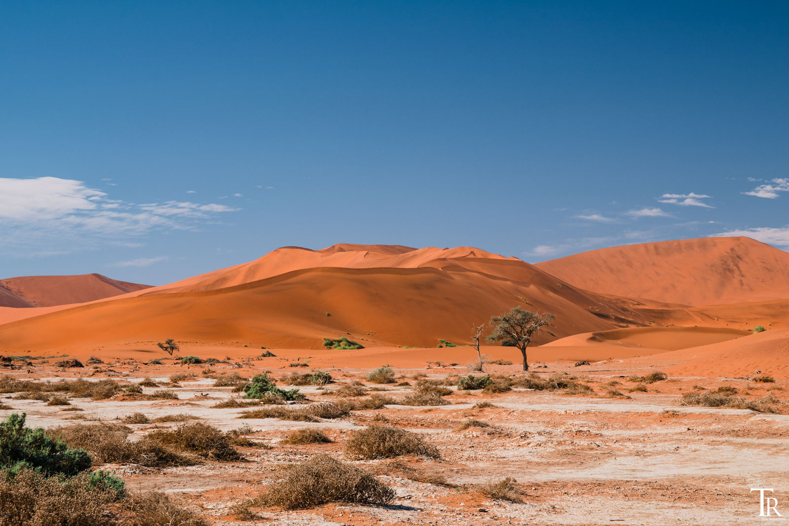 Du betrachtest gerade Roadtrip Namibia | Teil 2/3 – Vom Sossusvlei bis ins Erongo-Gebirge