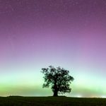 Polarlicht-Panorama in Brnadenburg