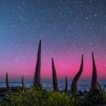 Polarlicht hinter Tajinasten auf La Palma